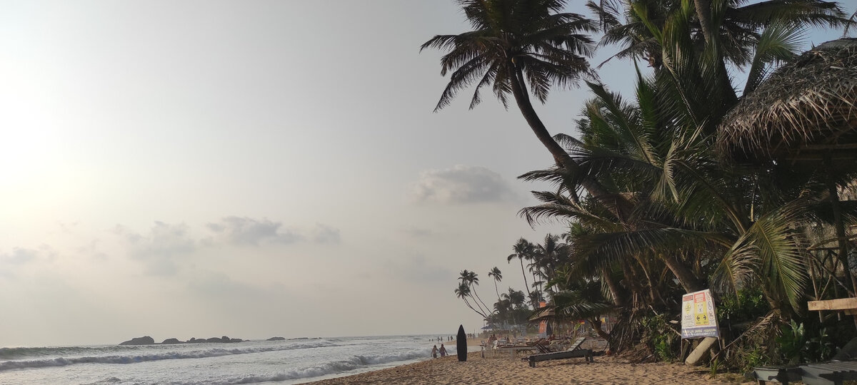 Шри-Ланка. 2024. Фото авторское.