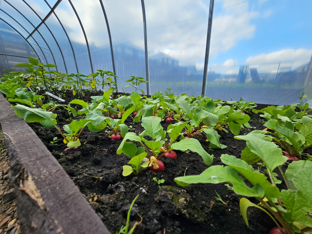 Замучался я постоянно поливать