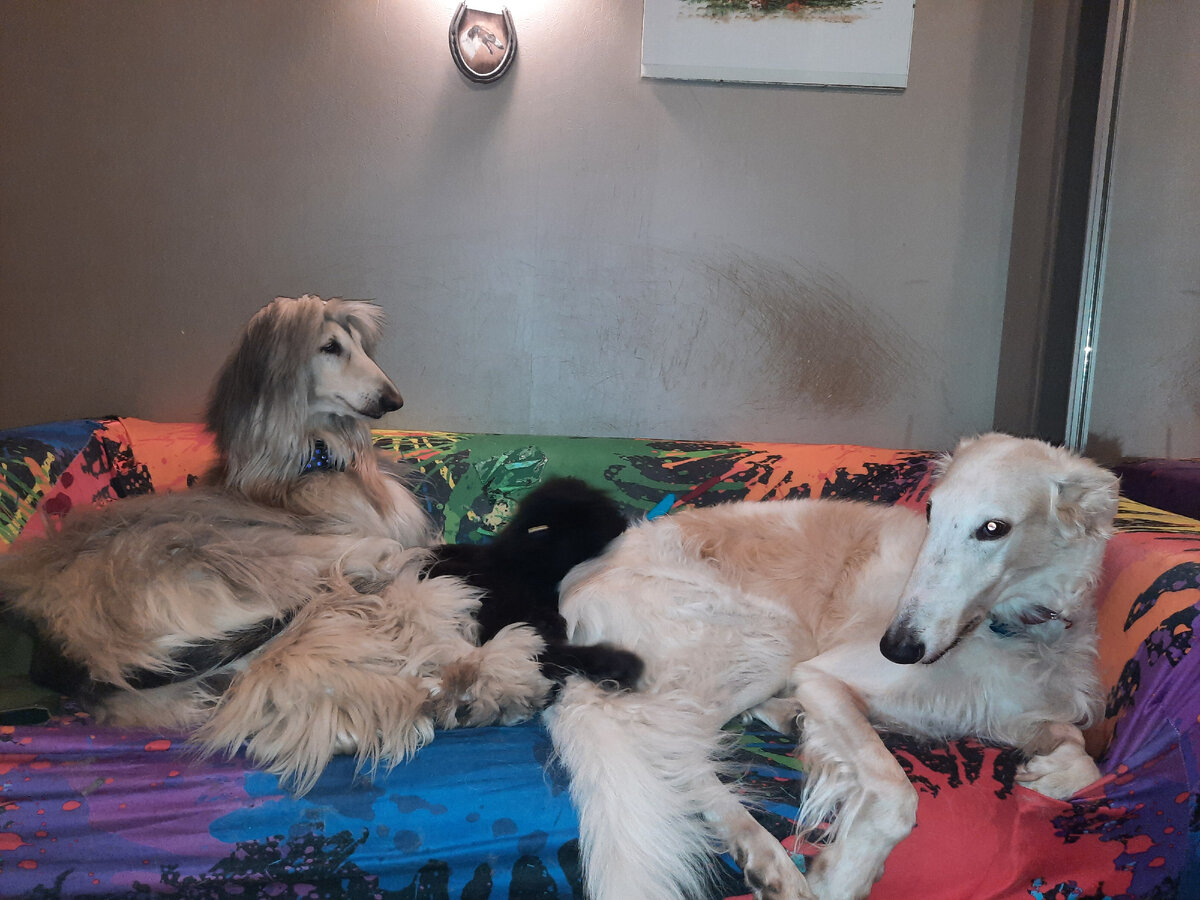 Кришу видите? А он есть!