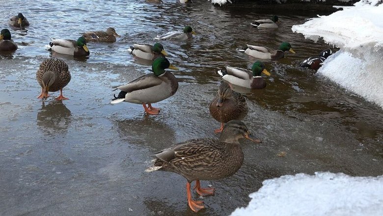 Источник: соцсети