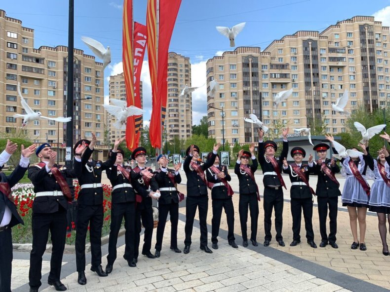 Летите, смелые птицы!