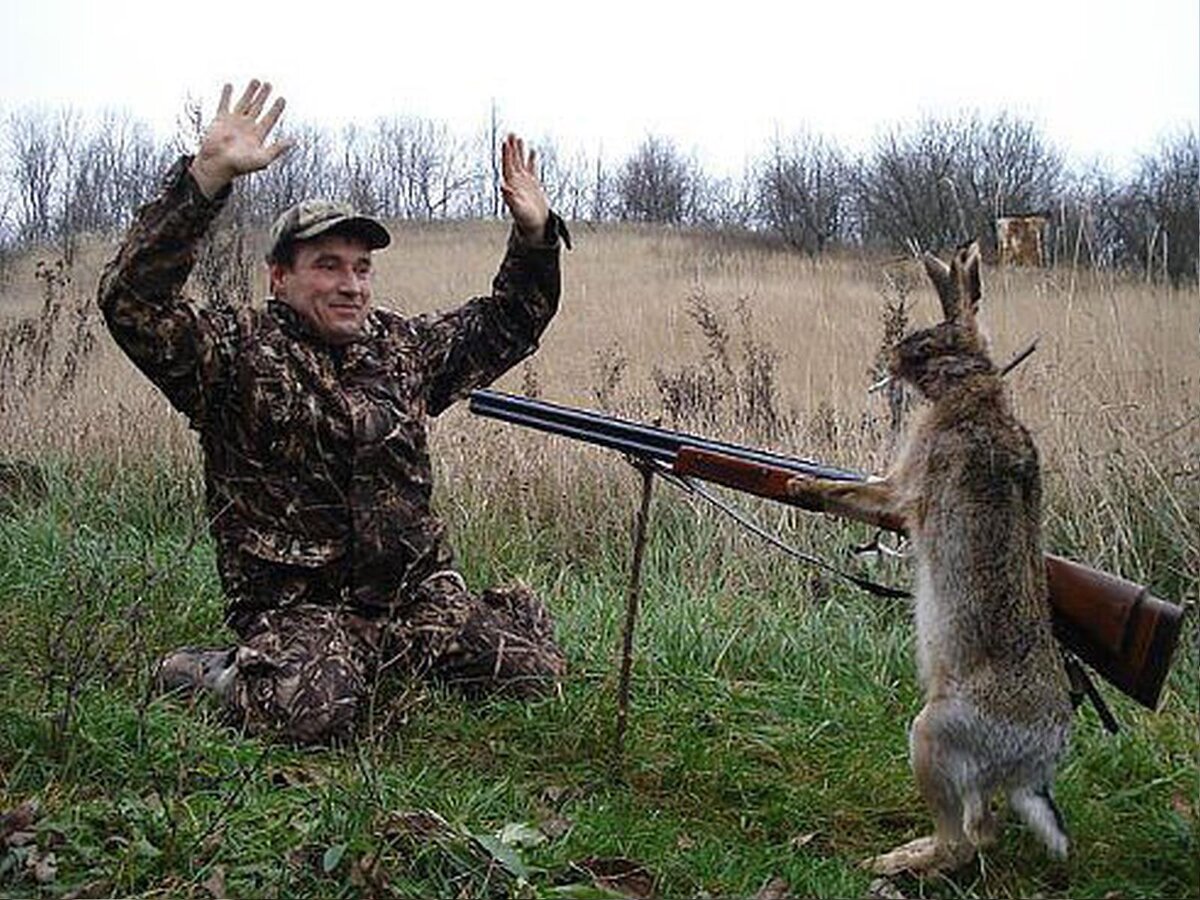 Если бы животные могли владеть оружием. Фото из интернета.