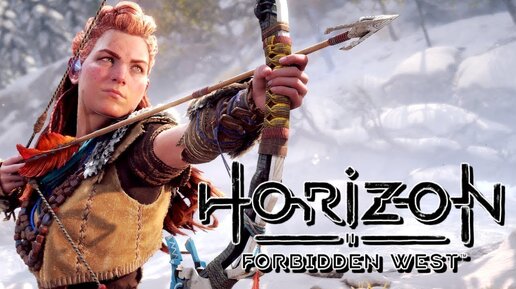 Horizon Forbidden West (2024) \ Xeon E5 2650 v2 + RX580 2048SP 8 Gb (GDDR5)