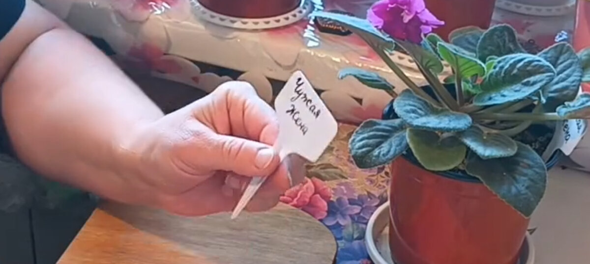 Табличка-ярлычок 