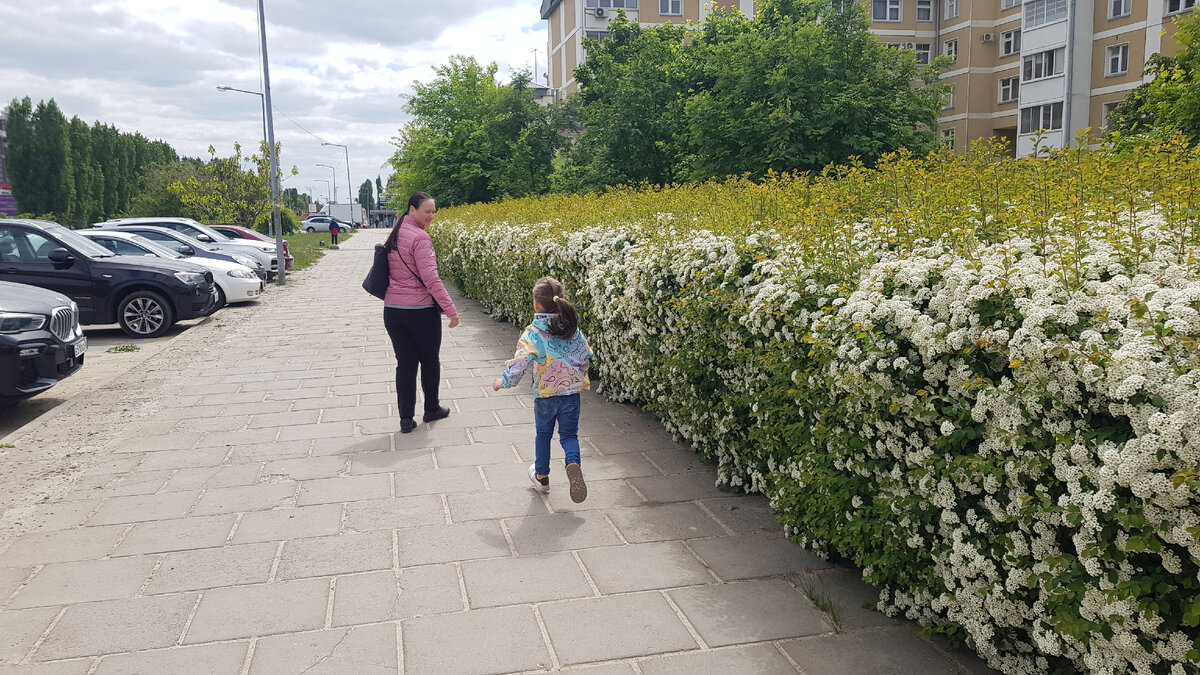 По дороге на выпускной в "Светлячок".