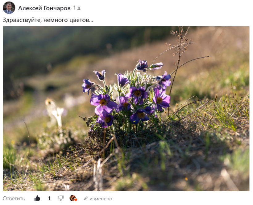 Скриншот «Цветов» участника флешмоба Алексея Гончарова «Весенний бал».