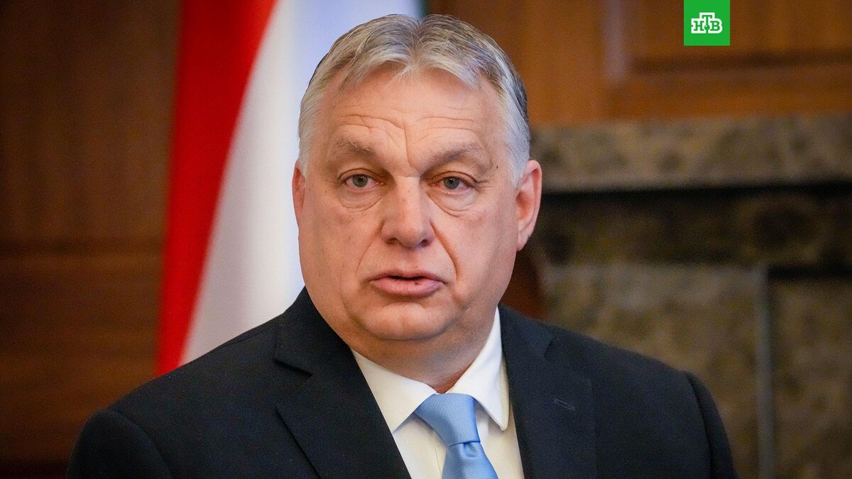    Фото: Associated Press © 2024, Darko Bandic