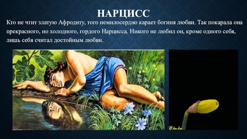 Как выглядит нарцисс человек
