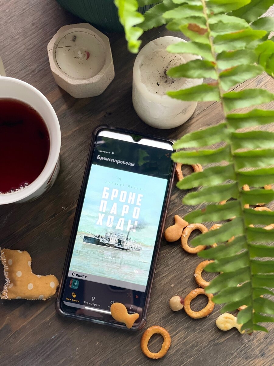 Алексей Иванов "Бронепароходы"