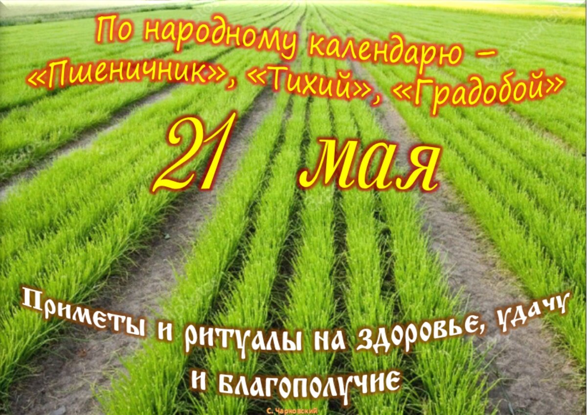 Май какие праздники