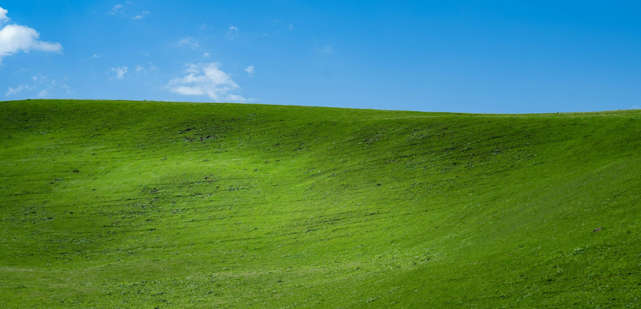    Windows XP