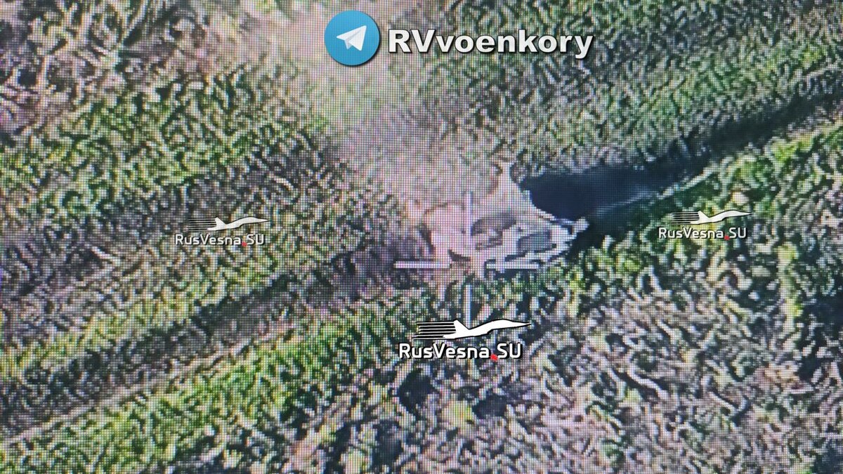 Фото: кадр из видео, RVvoenkor