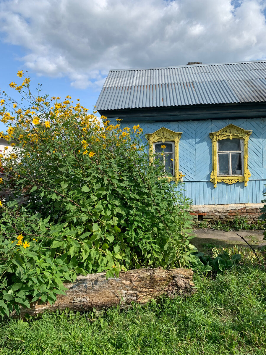 Дача. Другой взгляд на привычные нам вещи | Сад в стиле Paradise | Дзен