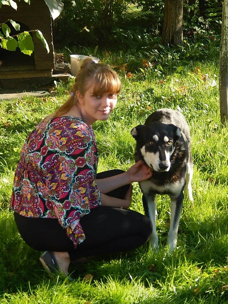 Авторское. Нет, собака не боится, она в шоке от тусовки)