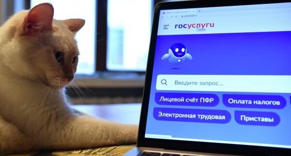    РИА «Новости»