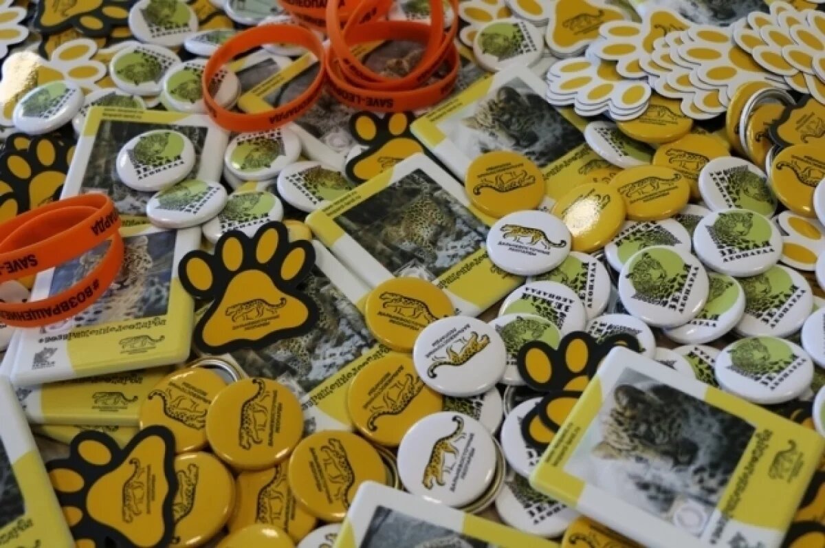    Владивосток вновь отметит рождённый в Приморье праздник "День леопарда"