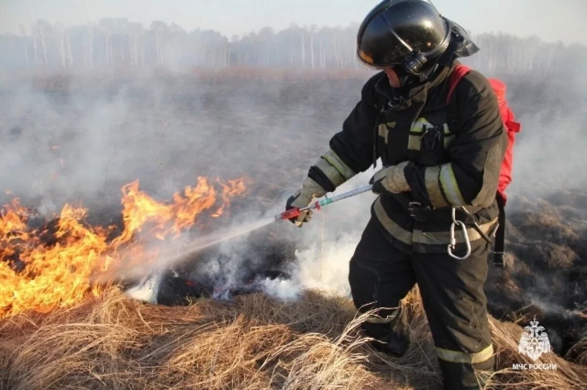    В Хабаровске не прекращаются пожары: потушено 40 возгораний за сутки