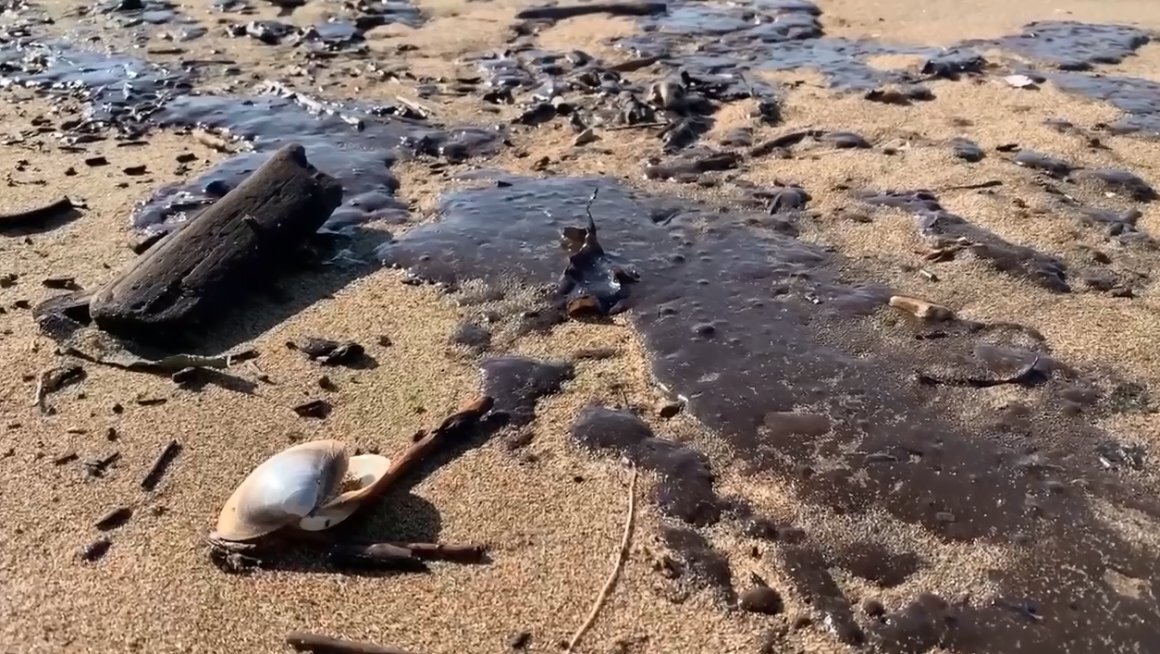 Разлив нефтепродуктов обнаружен в районе всем известного пляжа «Волна» в Находке, сообщает ОТВ.  Кроме того, местные жители жалуются на слив нечистот в районе базы отдыха «Антарес».