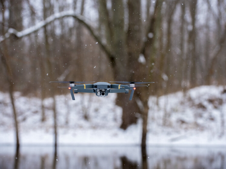     Фото: freepik.com