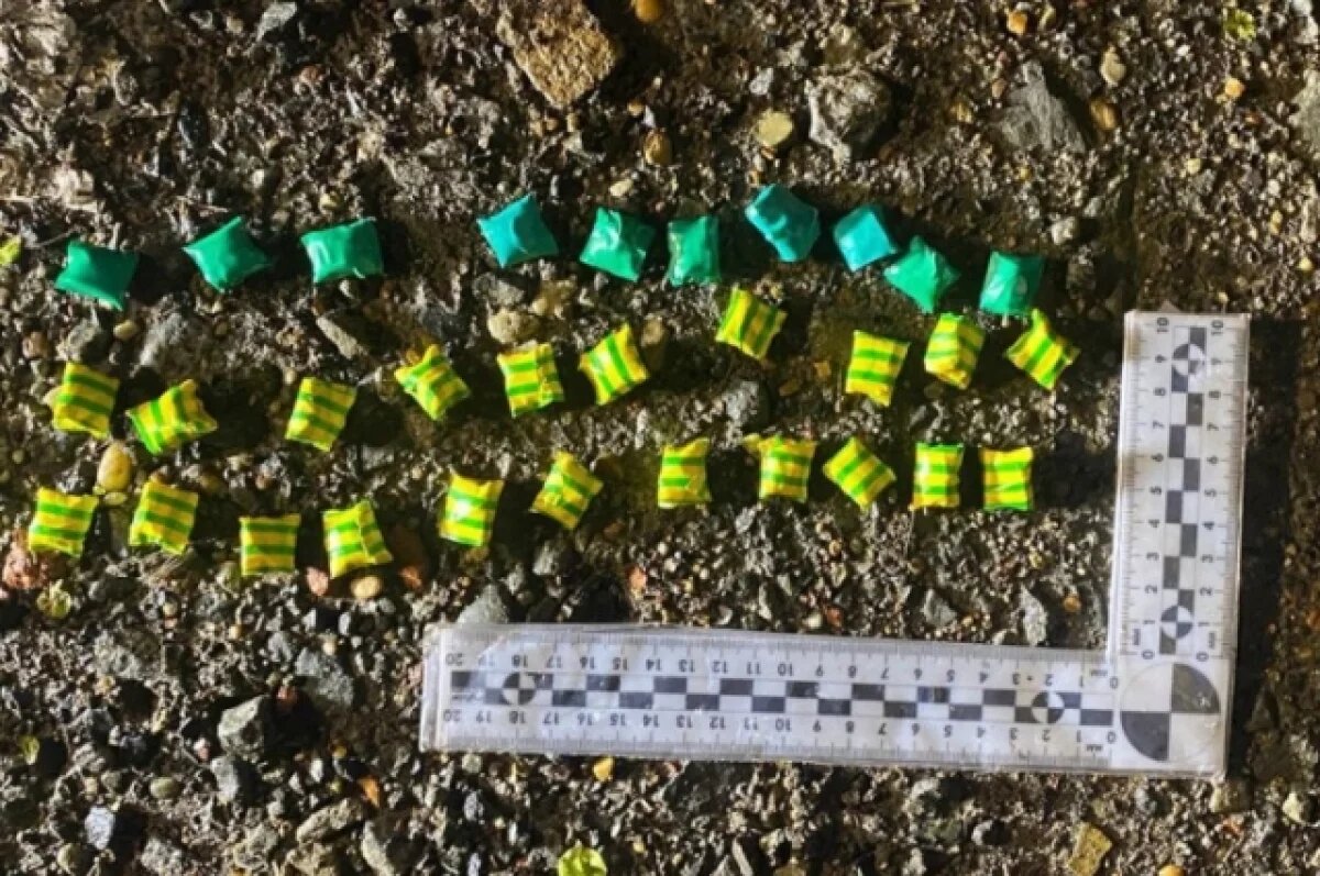    В Хабаровске задержали мужчину с 31 свертком наркотиков