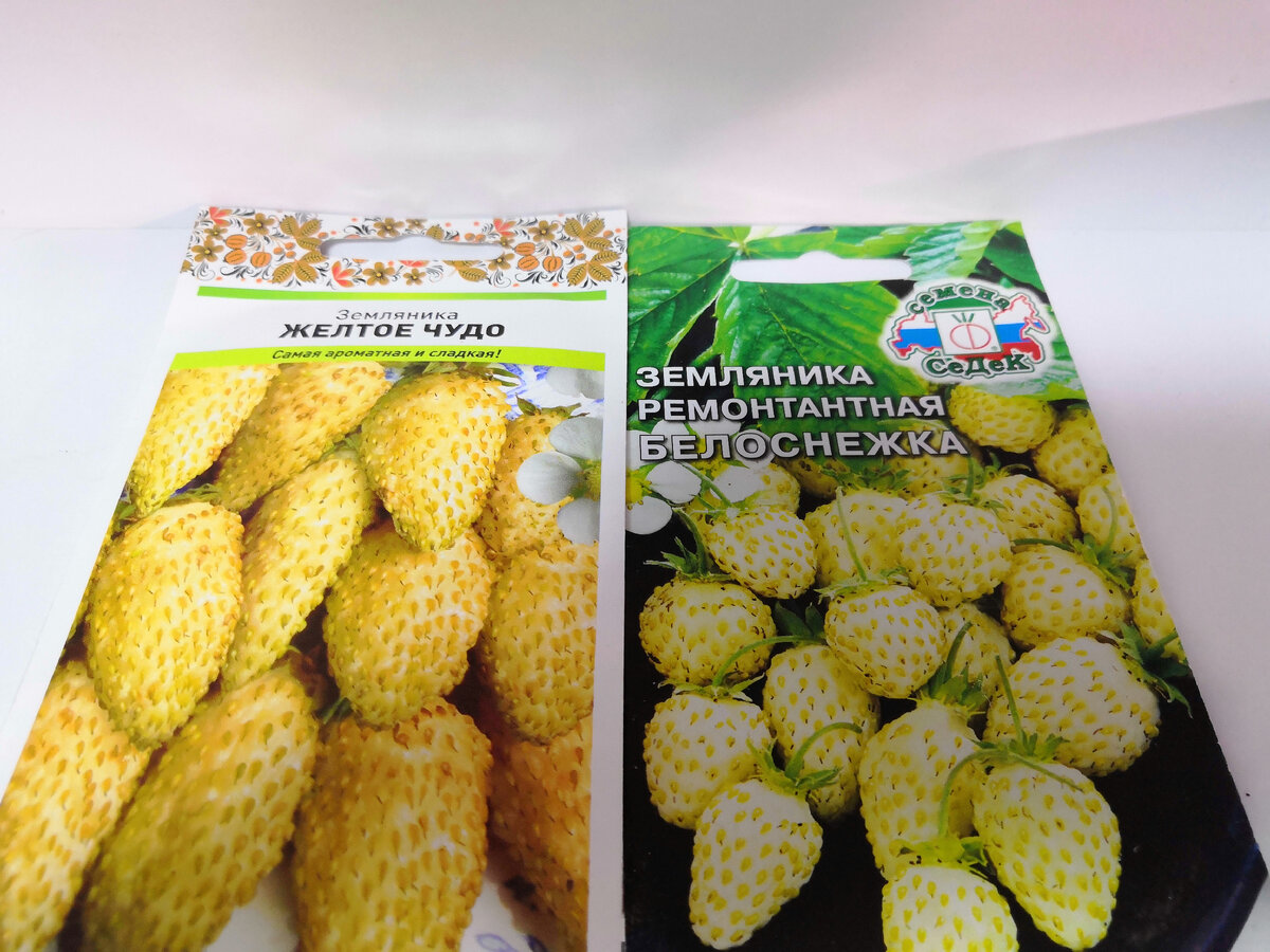 Желтая и белая земляника.