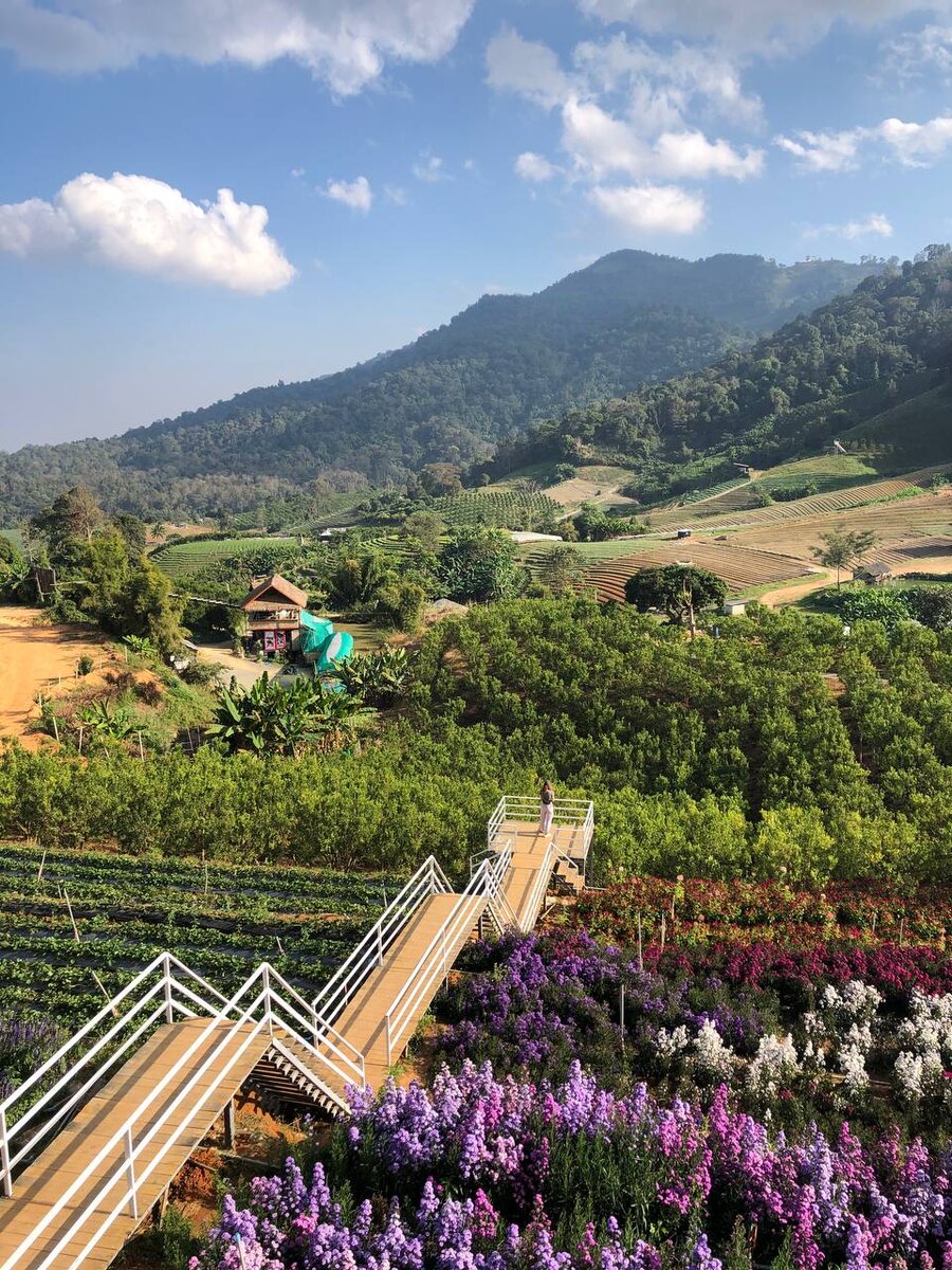 Чиангмай, Таиланд