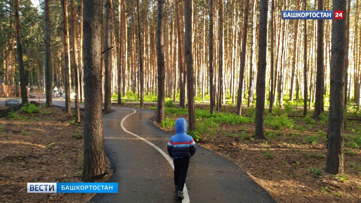    После потепления в Башкирии вновь похолодает