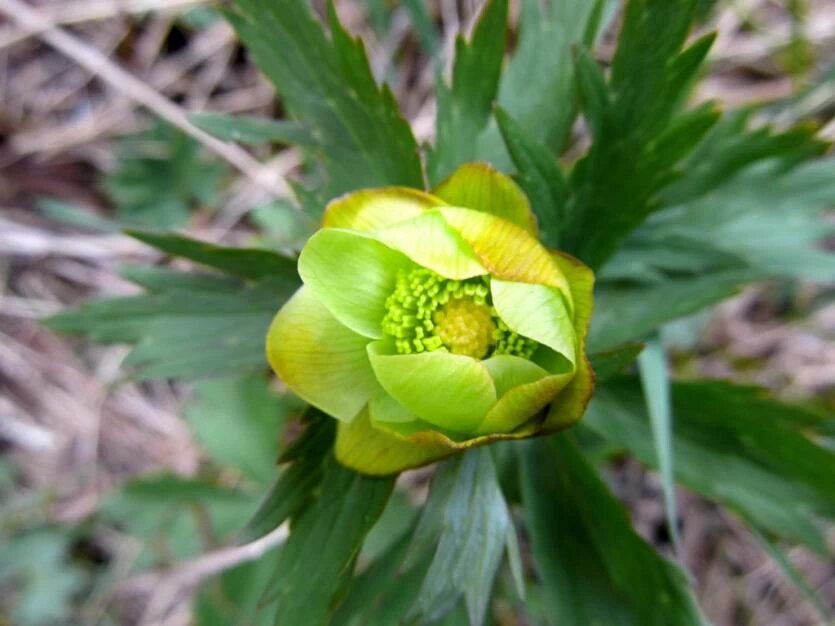 Фото: Нацпарк «Таганай»