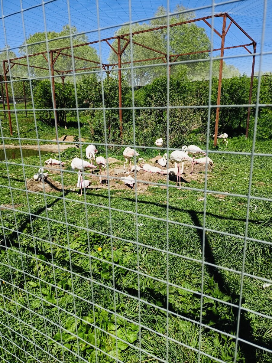 Фото из личного архива
