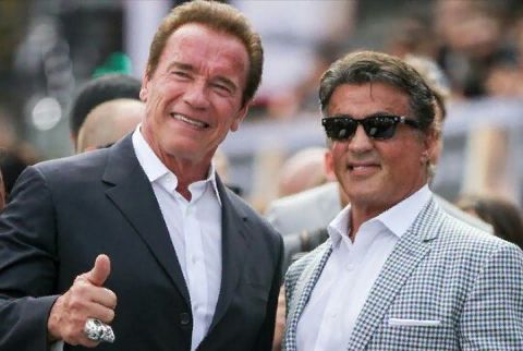 Стали приятелями и почти друзьями.