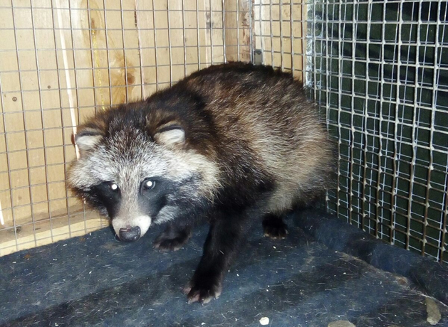 наш найденыш