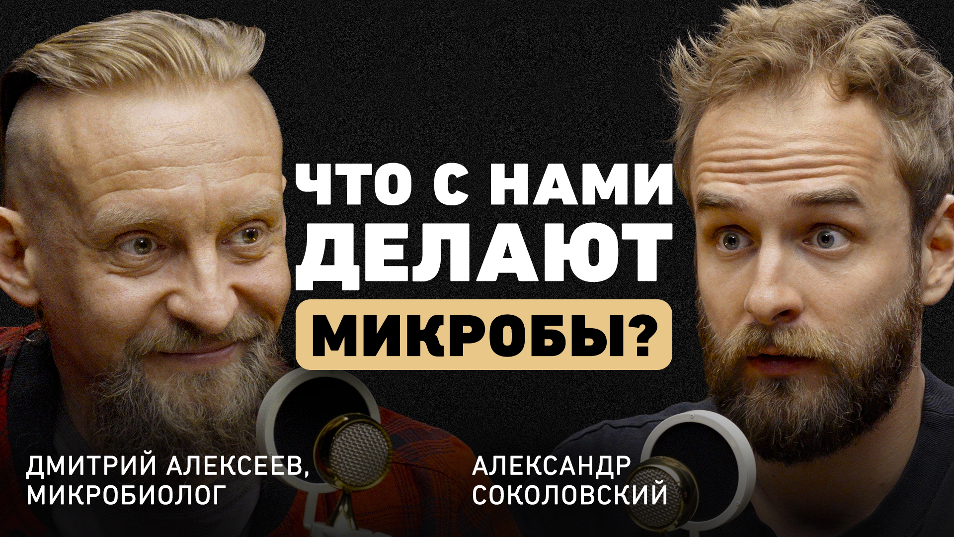 Как мы отравляем организм изнутри? Дмитрий Алексеев о токсинах, скрытом  сахаре, мясе и пробиотиках | Александр Соколовский | Дзен