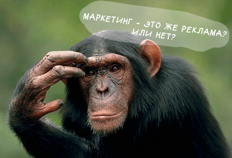 Вопрос сложный. Но мы и не дураки. Давайте разбираться.