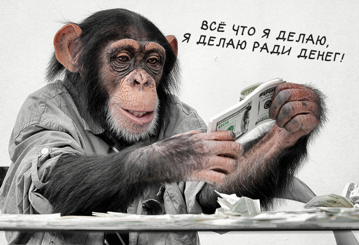 Без денег сейчас никуда.