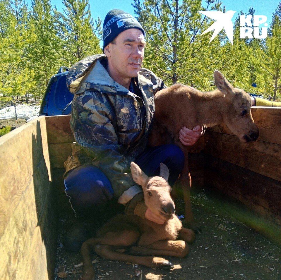    Добрые люди не оставили малышей в беде.