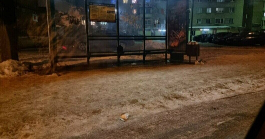 Кошка уже сидела, который час или день - неизвестно