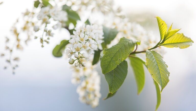 Фото: Aleksey Smyshlyaev/Globallookpress