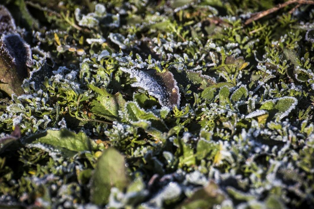 Фото: Сергей Елесин, ИА "Тюменская линия"