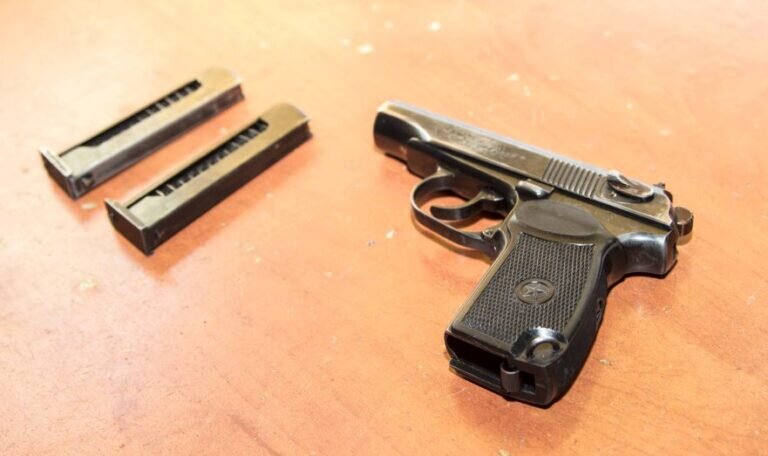    Фото: Общественная служба новостей Софья Чулкова