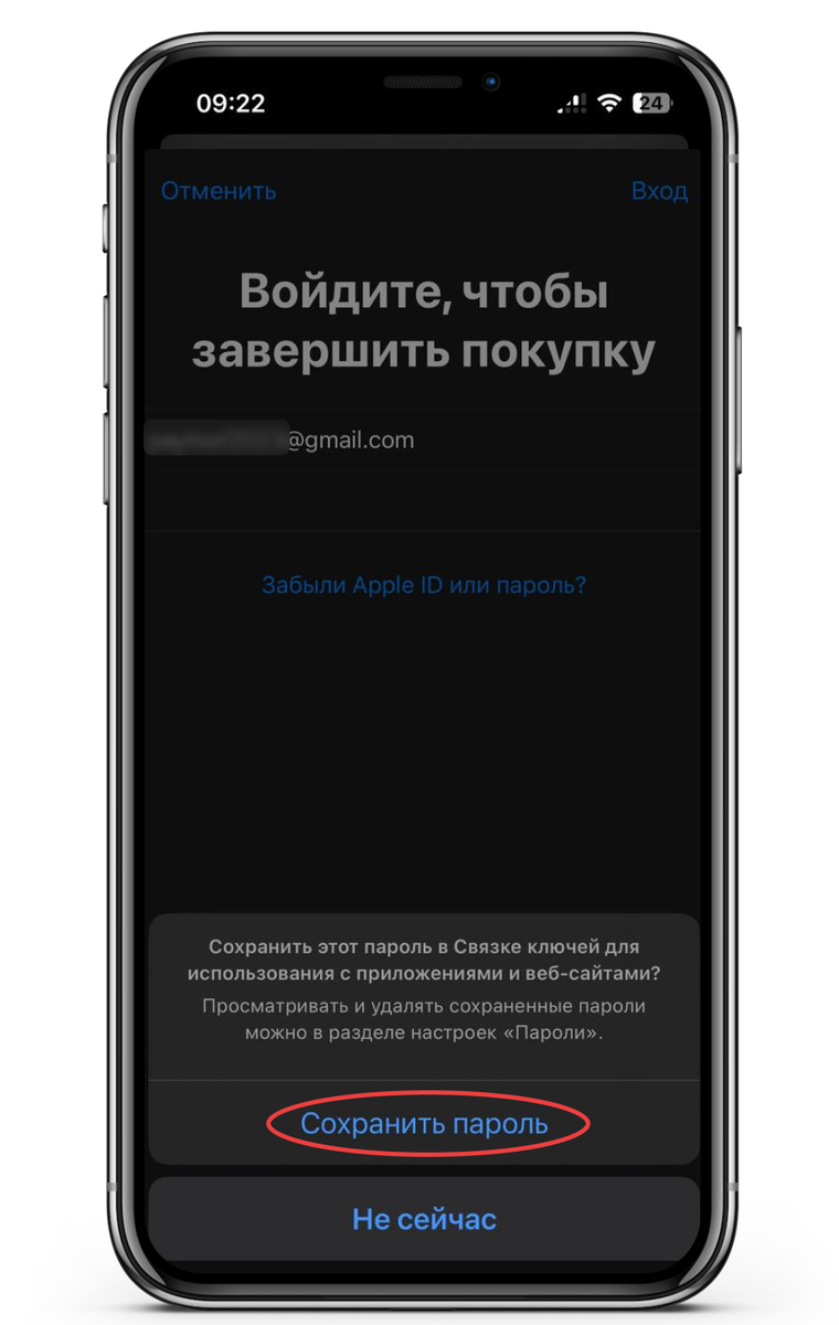 Как создать американский Apple ID в 2024 году | Paytool | Дзен