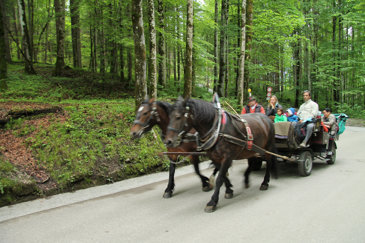 Кто не любит пешком и всё время вверх, выбирают альтернативные пути до замка