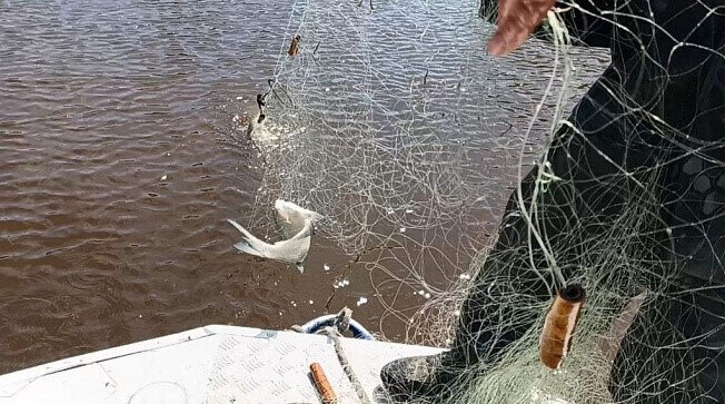    Фото: бъединенная пресс-служба Росрыболовства