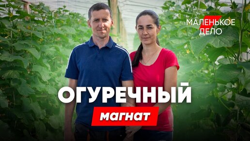 Живет в теплице и выращивает огурцы