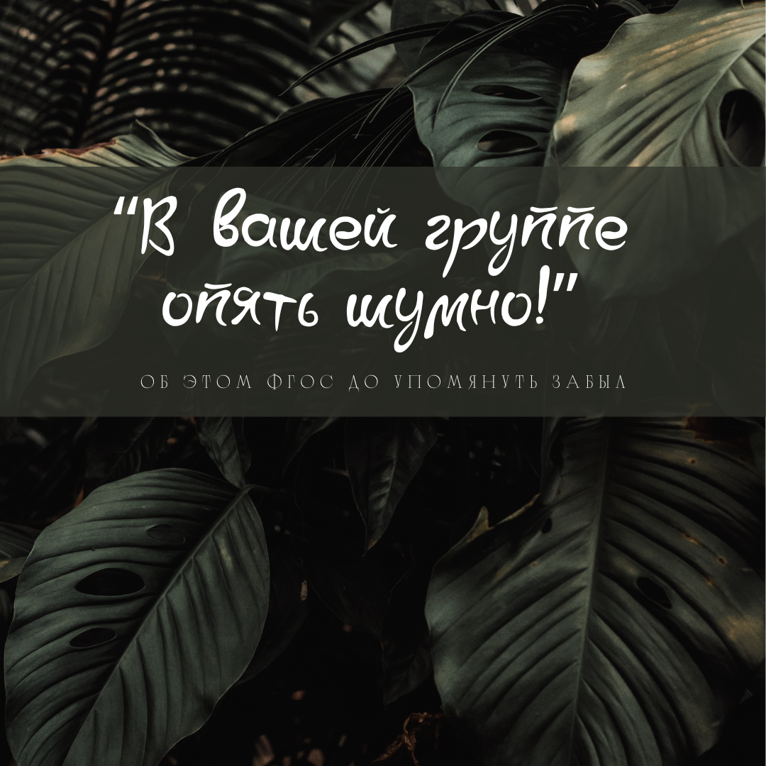 "В вашей группе опять шумно!": об этом ФГОС ДО упомянуть забыл