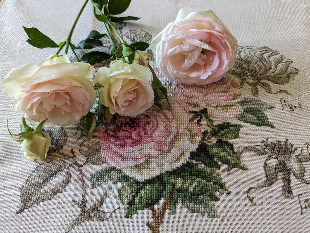 А летом мне выдали результат