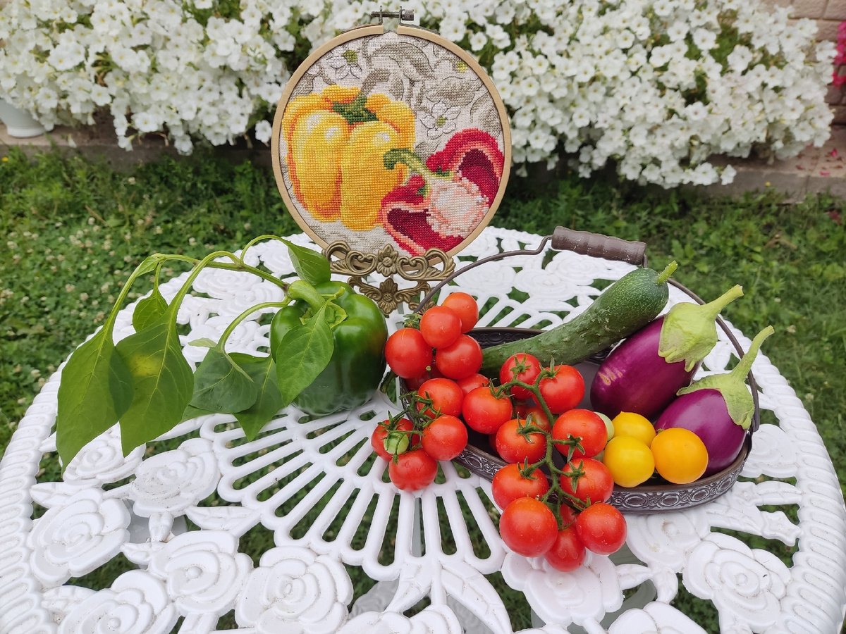 К середине процесса в огороде пошли первые перцы