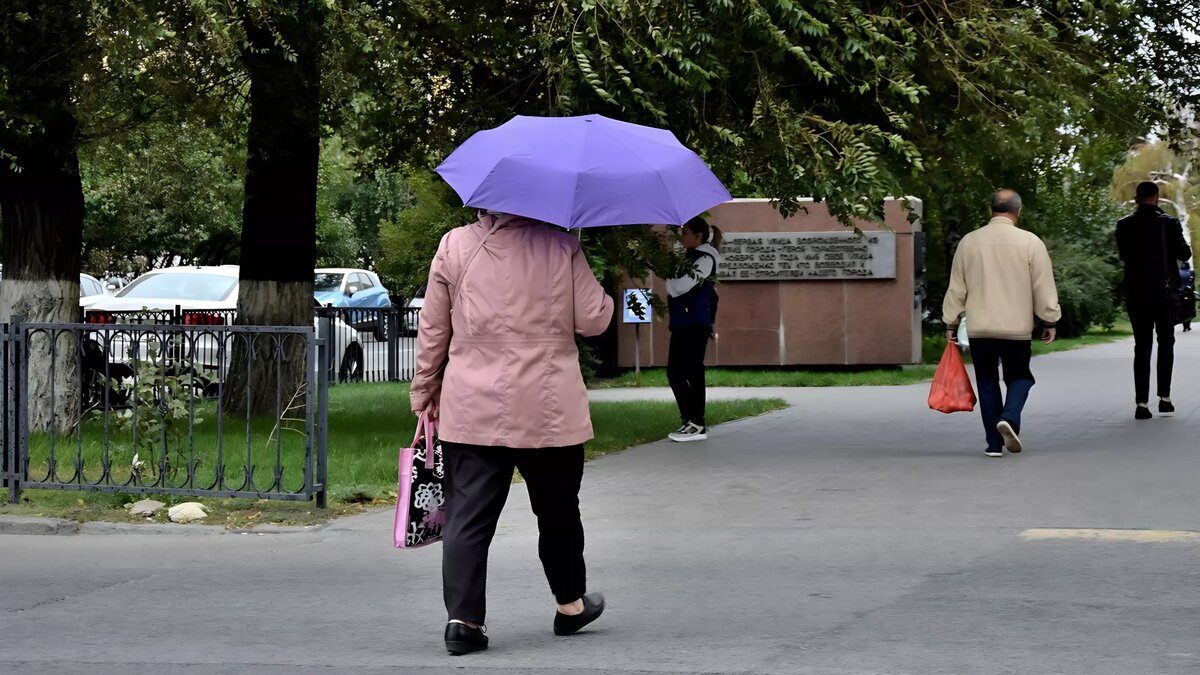     Источник: 1MI