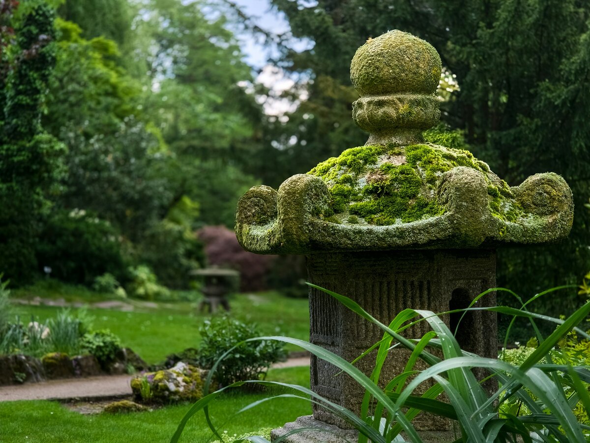 Фото с бесплатного фотостока https://unsplash.com, автор Yan Ots