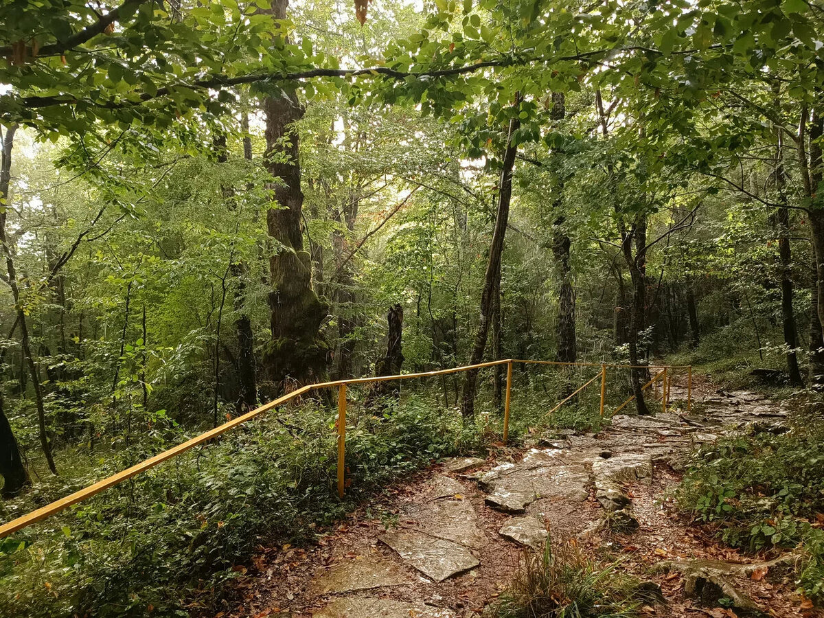 Дорога вверх идёт по ступеням или вымощенным тропинкам. Фото: Александр / Яндекс Карты