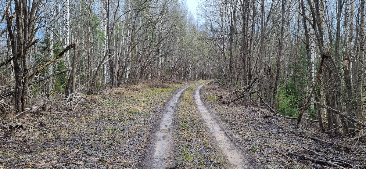 Дорога в Думалово